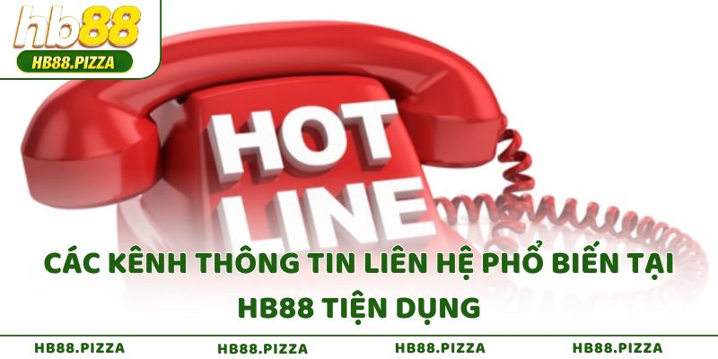 Các kênh thông tin liên hệ phổ biến tại HB88 tiện dụng