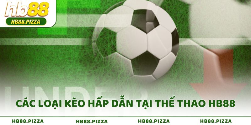 Các loại kèo hấp dẫn tại thể thao HB88