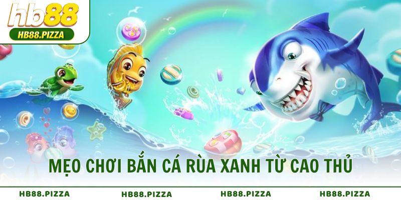 Mẹo chơi bắn cá rùa xanh từ cao thủ chuyên nghiệp