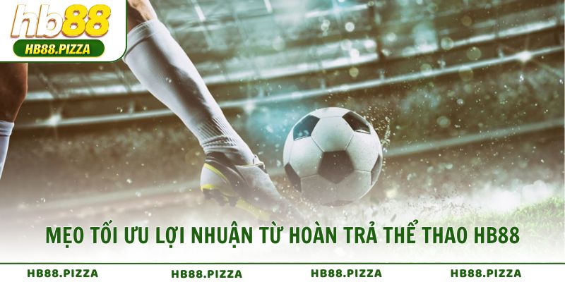 Mẹo tối ưu lợi nhuận từ hoàn trả thể thao HB88 của cao thủ cá cược
