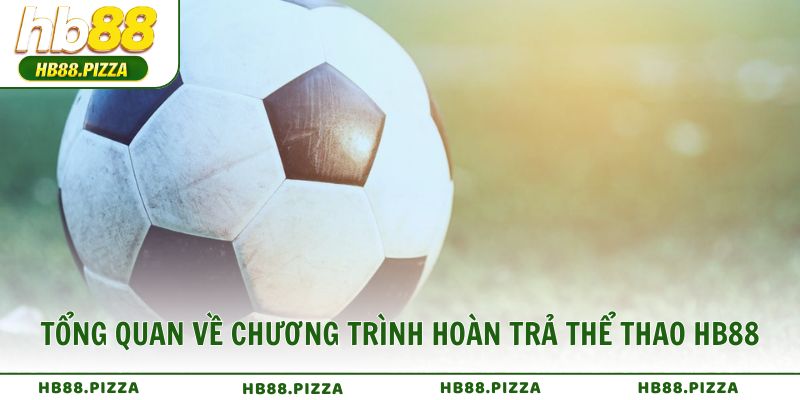 Tổng quan về chương trình hoàn trả thể thao HB88